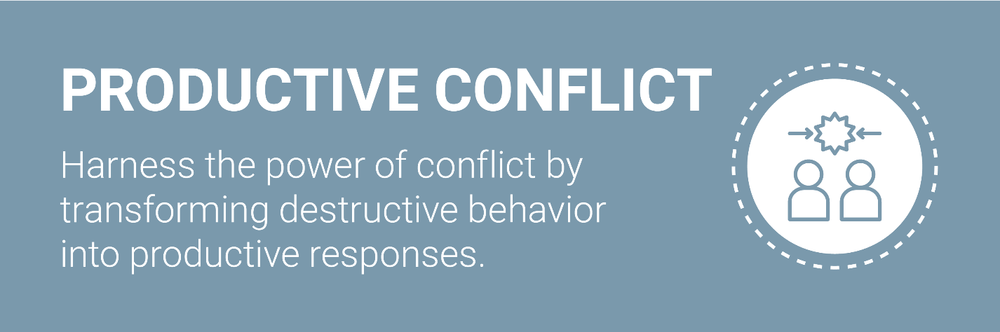Everything DiSC Productive Conflict